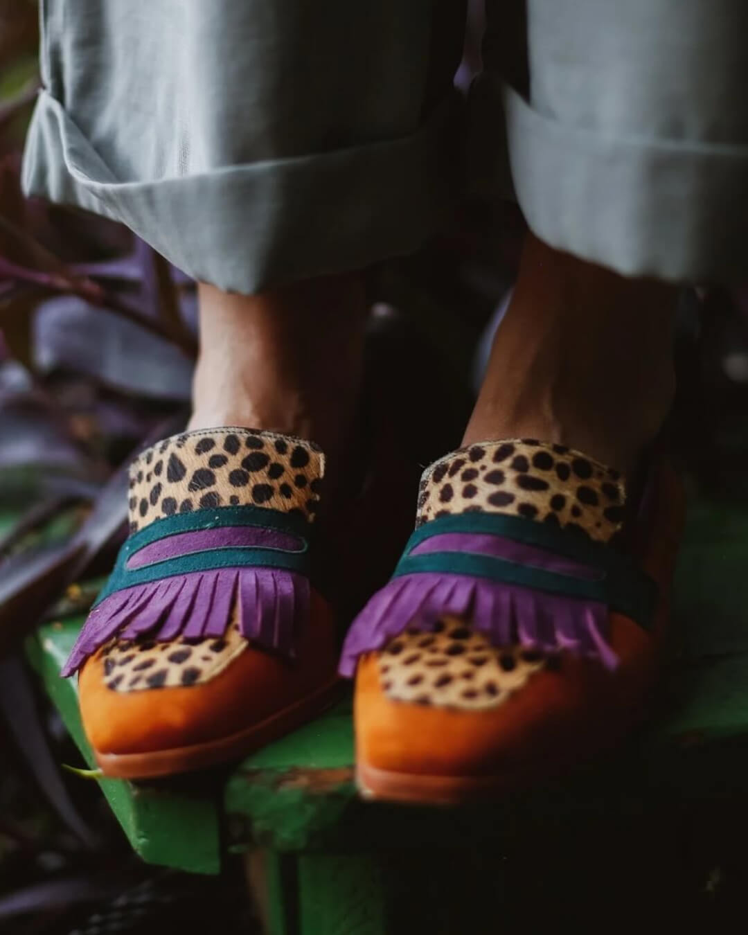 Elvyra™ | Safari